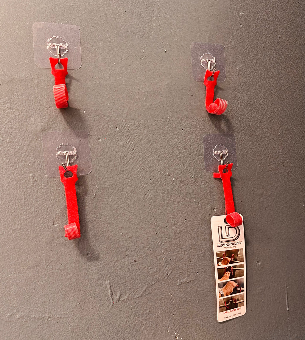 Optional wall mount kit (Recommended)